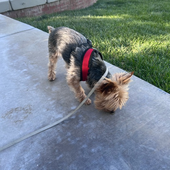 Welcome-Don’t just meet me, lol, take a minute, PLEASE read my story 💕😃🙏🏼☮️ - Picture 3 of 6